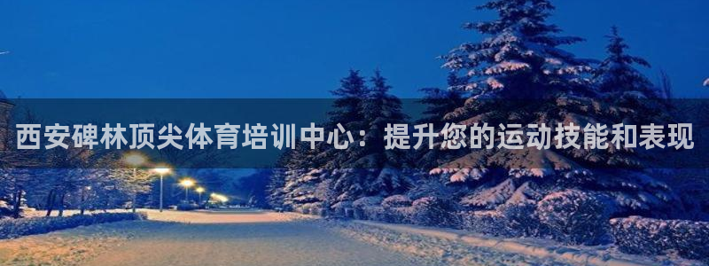 极悦平台注册官网入口：西安碑林顶尖体育培训中心：提升