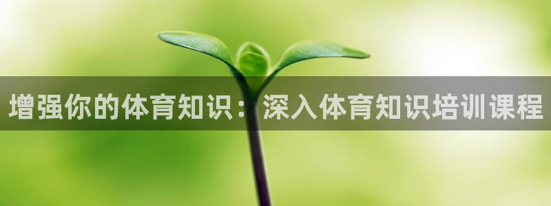 极悦娱乐方7O777：增强你的体育知识：深入体育知识