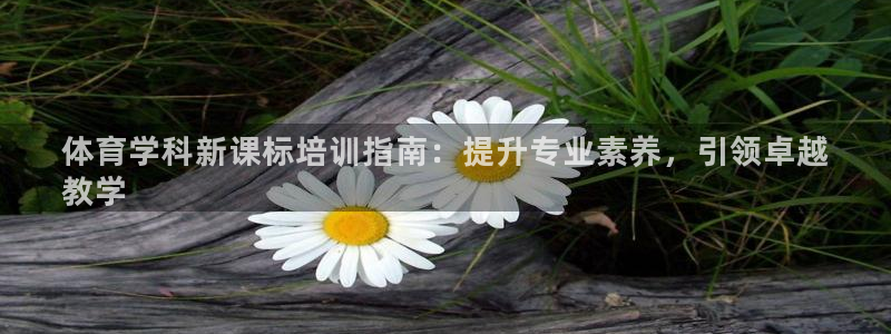极悦平台用户反馈和反馈：体育学科新课标培训指南：提升