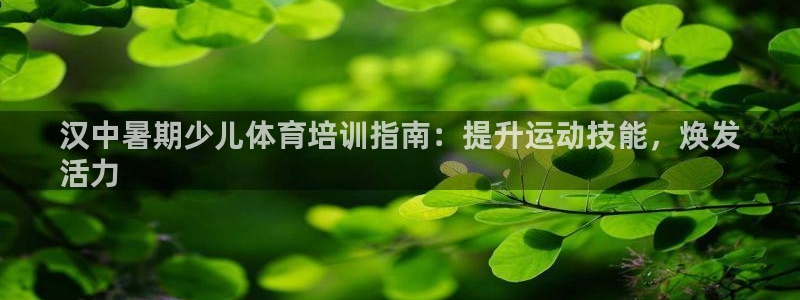 极悦平台使用注意事项有哪些：汉中暑期少儿体育培训指南