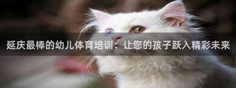 极悦平台平台注册方法与步骤是什么：延庆最棒的幼儿体育