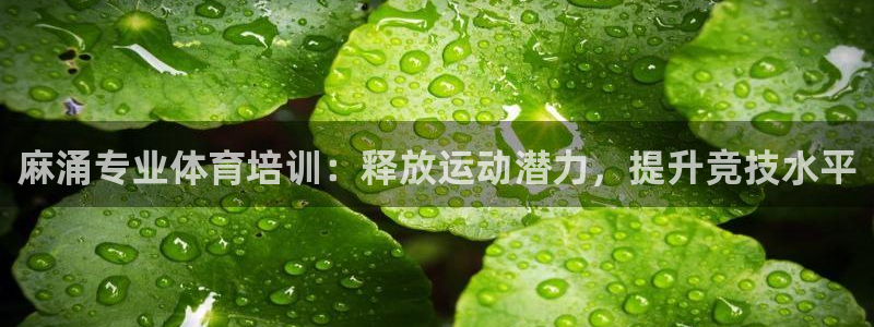 极悦娱乐挂机赚钱是真的吗吗：麻涌专业体育培训：释放运