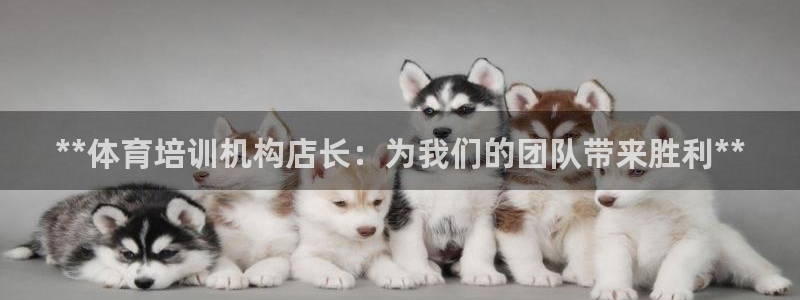 极悦平台注册登录：**体育培训机构店长：为我们的团队