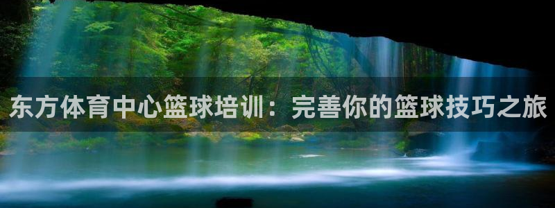 极悦平台官网登录网址是多少：东方体育中心篮球培训：完