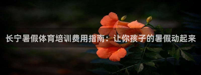 极悦娱乐股东名单：长宁暑假体育培训费用指南：让你孩子