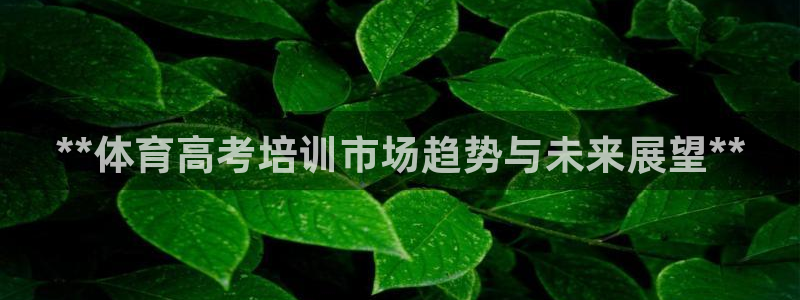 极悦平台官方网站是什么：**体育高考培训市场趋势与未