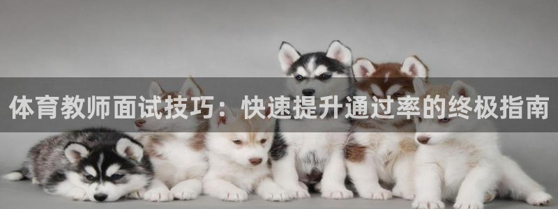 极悦平台注册资金多少：体育教师面试技巧：快速提升通过