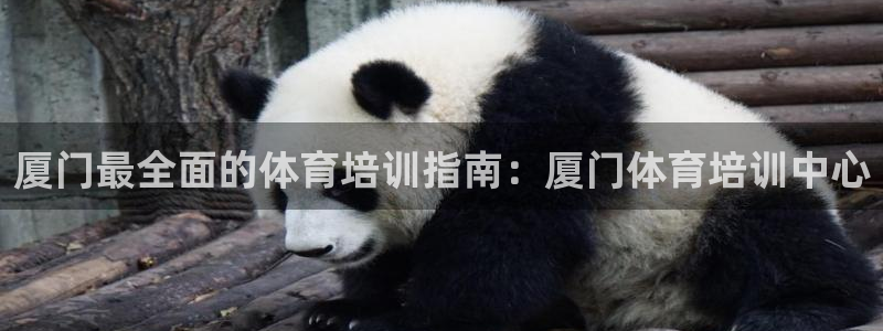 极悦平台客服投诉电话是多少号：厦门最全面的体育培训指