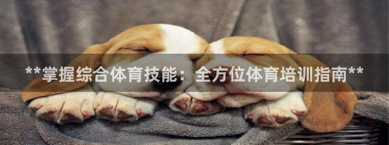 极悦平台有风险吗现在：**掌握综合体育技能：全方位体