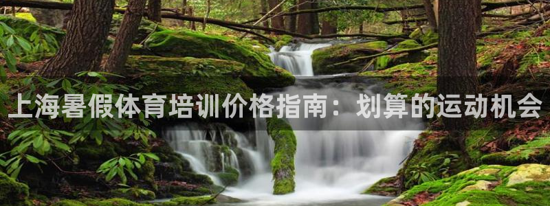 极悦平台和蓝狮平台区别大吗：上海暑假体育培训价格指南
