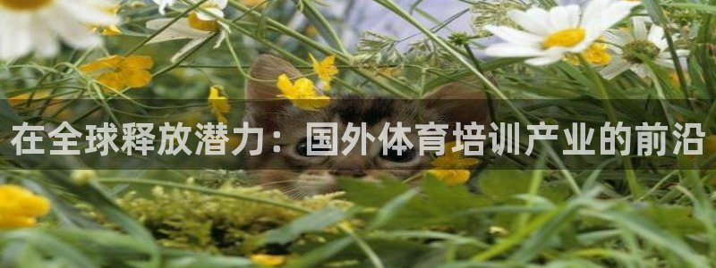 极悦官方网站app下载软件：在全球释放潜力：国外体育