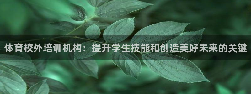 极悦娱乐代理多少钱一个月：体育校外培训机构：提升学生