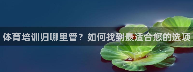 极悦平台客服团队怎么样：体育培训归哪里管？如何找到最