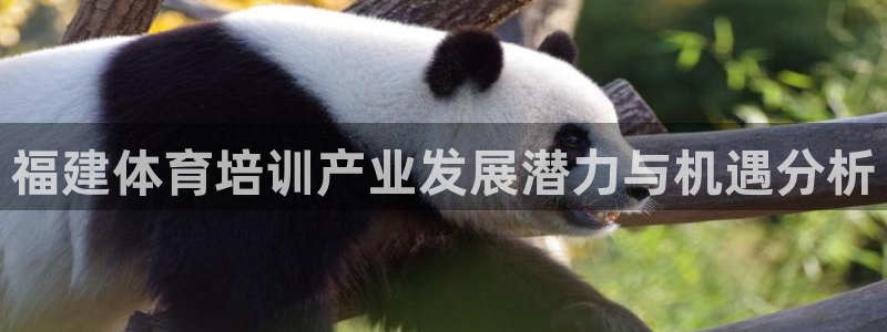 极悦是什么牌子空调的：福建体育培训产业发展潜力与机遇