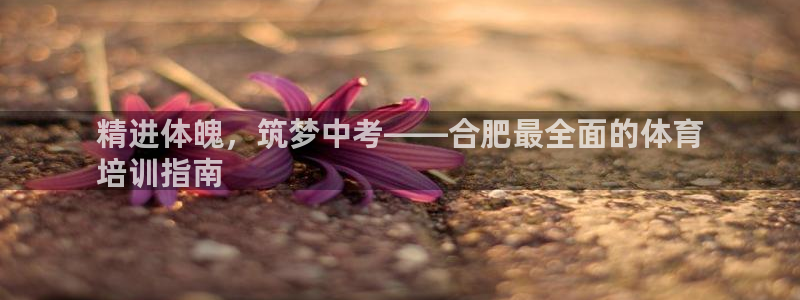 极悦娱乐官网下载安装：精进体魄，筑梦中考——合肥最全