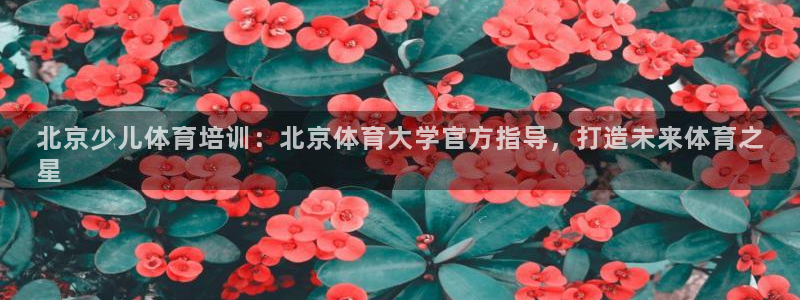 极悦娱乐会被骗吗知乎文章：北京少儿体育培训：北京体育