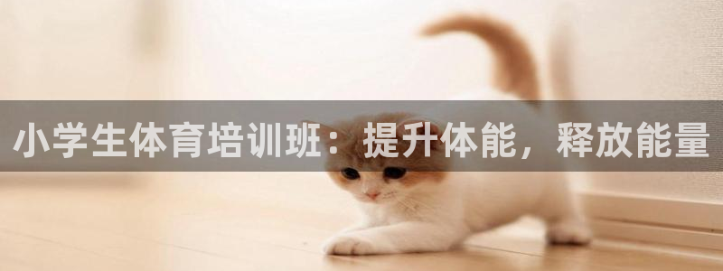 极悦娱乐官网最新版本更新内容下载：小学生体育培训班：