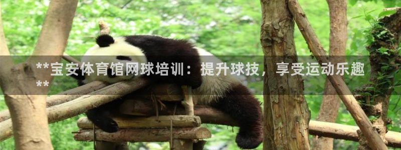 极悦平台是干嘛的公司：**宝安体育馆网球培训：提升球