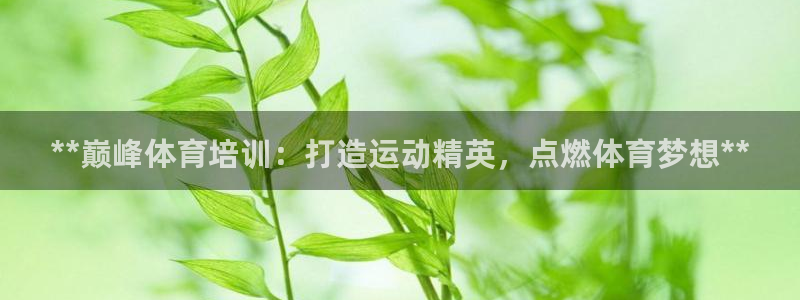 极悦注册：**巅峰体育培训：打造运动精英，点燃体育梦
