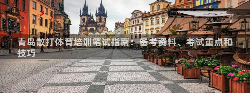 极悦注册：青岛散打体育培训笔试指南：备考资料、考试重