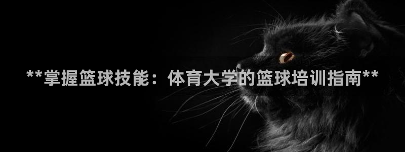 极悦平台登录不进去怎么回事呀：**掌握篮球技能：体育
