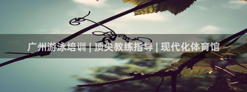 极悦娱乐负责人是谁：广州游泳培训 | 顶尖教练指导 