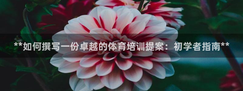 极悦平台注册：**如何撰写一份卓越的体育培训提案：初