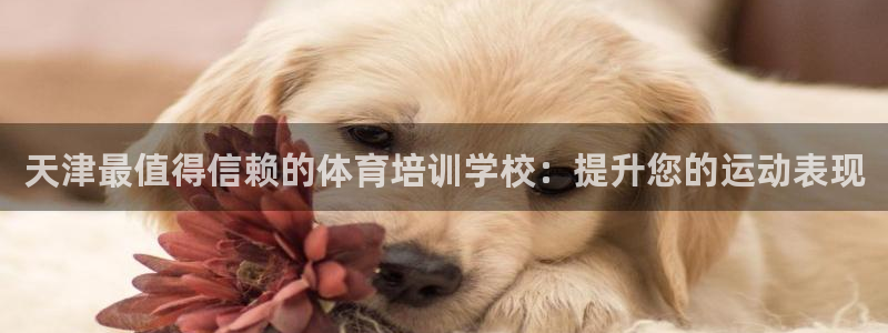 极悦娱乐官网入口网站：天津最值得信赖的体育培训学校：
