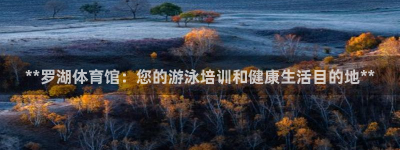 极悦娱乐的创始人背景故事简介：**罗湖体育馆：您的游