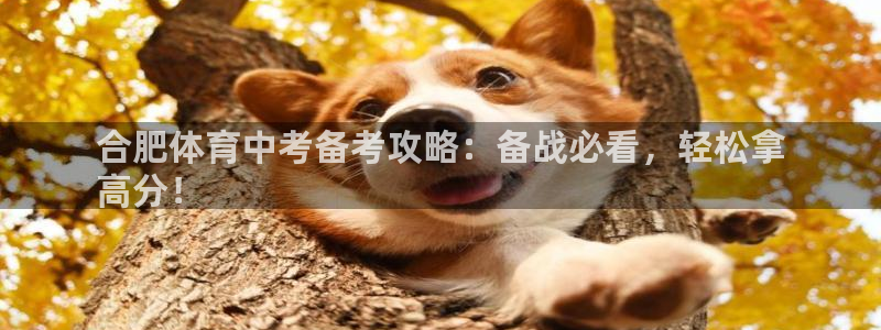 极悦娱乐代理人是谁啊：合肥体育中考备考攻略：备战必看