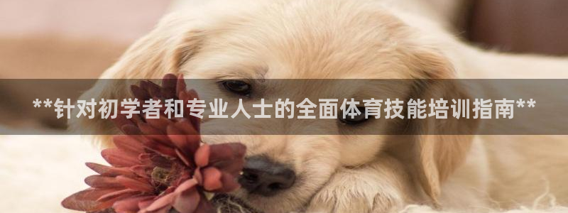 极悦娱乐的创始人背景故事是什么：**针对初学者和专业