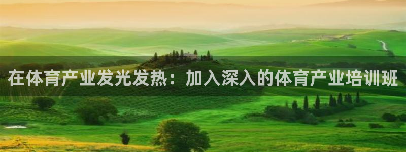极悦平台与网易合作详情在哪：在体育产业发光发热：加入