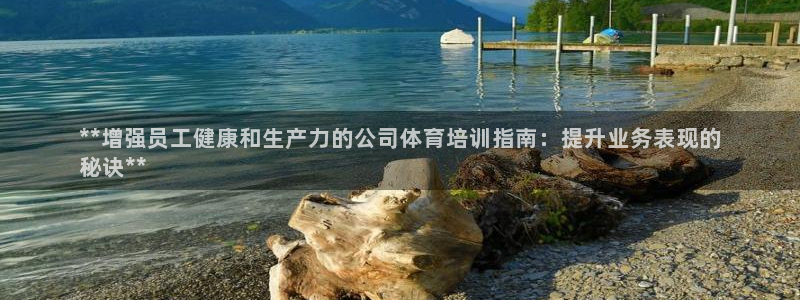 极悦娱乐负责人：**增强员工健康和生产力的公司体育培