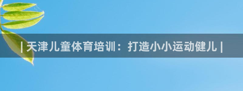 无锡极悦科技有限公司：| 天津儿童体育培训：打造小小