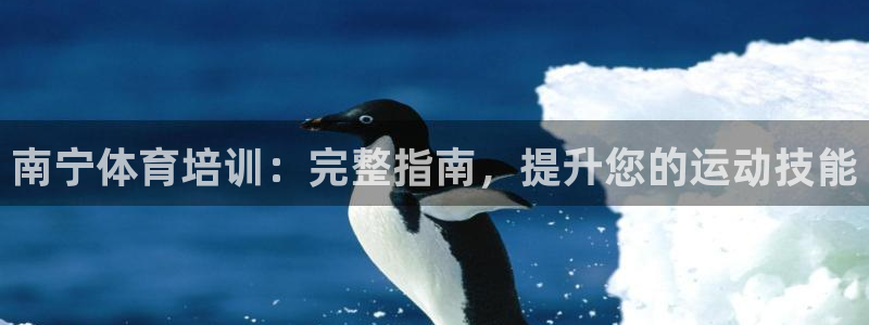 极悦平台代理怎么做赚钱：南宁体育培训：完整指南，提升