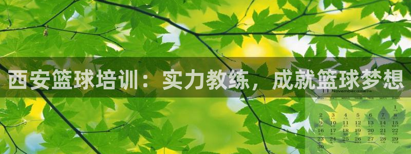 极悦娱乐公司最新招聘信息：西安篮球培训：实力教练，成