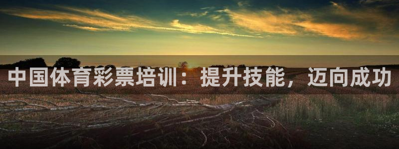 极悦平台官网登录入口网址是什么：中国体育彩票培训：提