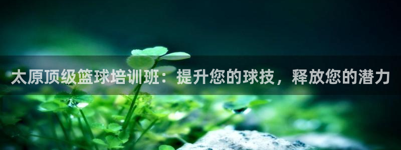 极悦娱乐官网下载app：太原顶级篮球培训班：提升您的