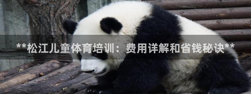 极悦平台和蓝狮平台区别在哪：**松江儿童体育培训：费