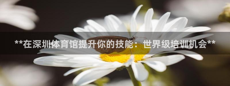 极悦官网注册最新版本更新内容：**在深圳体育馆提升你