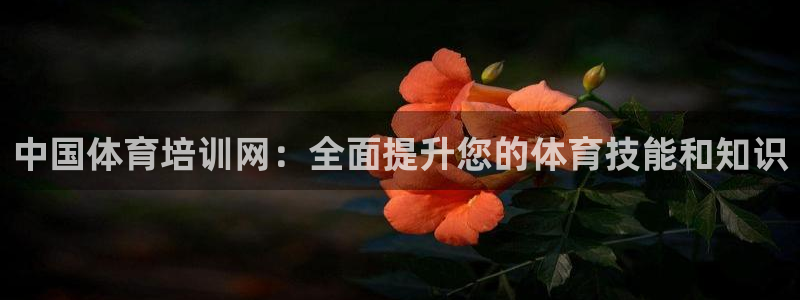 极悦娱乐官网下载：中国体育培训网：全面提升您的体育技