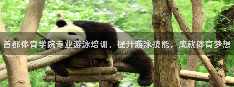 极悦牙膏怎么样好不好：首都体育学院专业游泳培训，提升