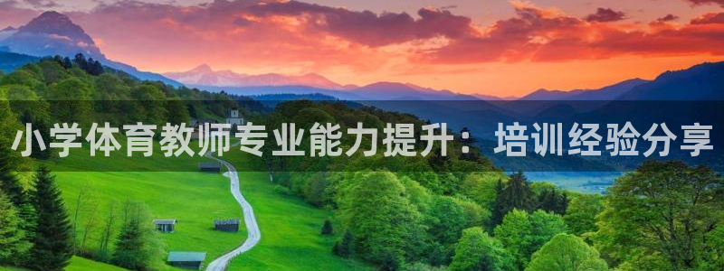 极悦娱乐负责人是谁：小学体育教师专业能力提升：培训经