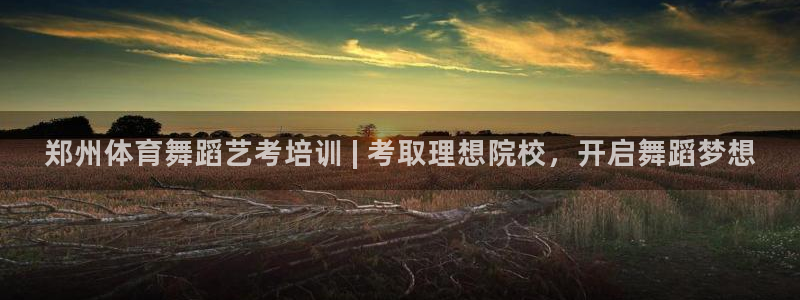 极悦平台注册失败如何解决问题：郑州体育舞蹈艺考培训 
