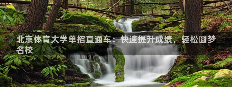 极悦平台用户评价怎么样：北京体育大学单招直通车：快速
