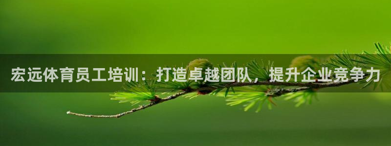 极悦生活家是什么平台：宏远体育员工培训：打造卓越团队