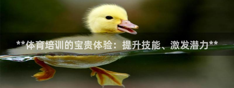 极悦娱乐官网入口下载：**体育培训的宝贵体验：提升技