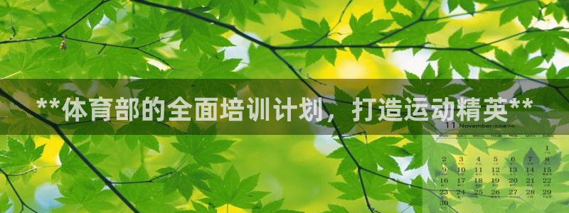 极悦娱乐的背景和历史背景分析：**体育部的全面培训计