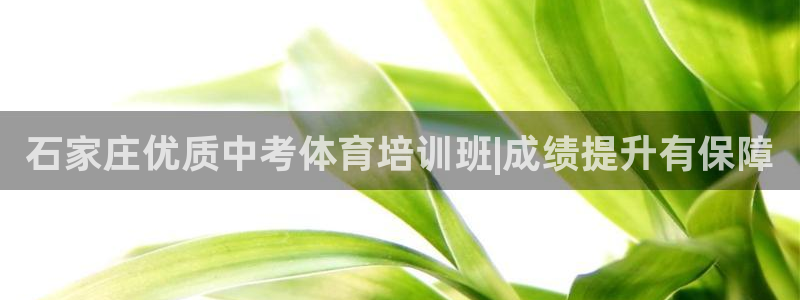 极悦平台官网登录入口下载：石家庄优质中考体育培训班|