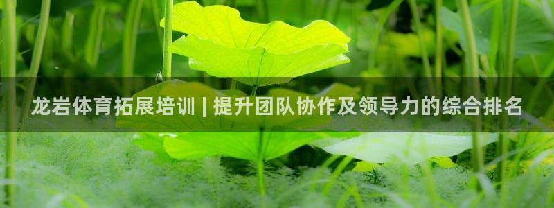 极悦平台德711.112的更新内容：龙岩体育拓展培训